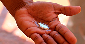 fotografía de una mano sosteniendo una pequeña cantidad de mercurio